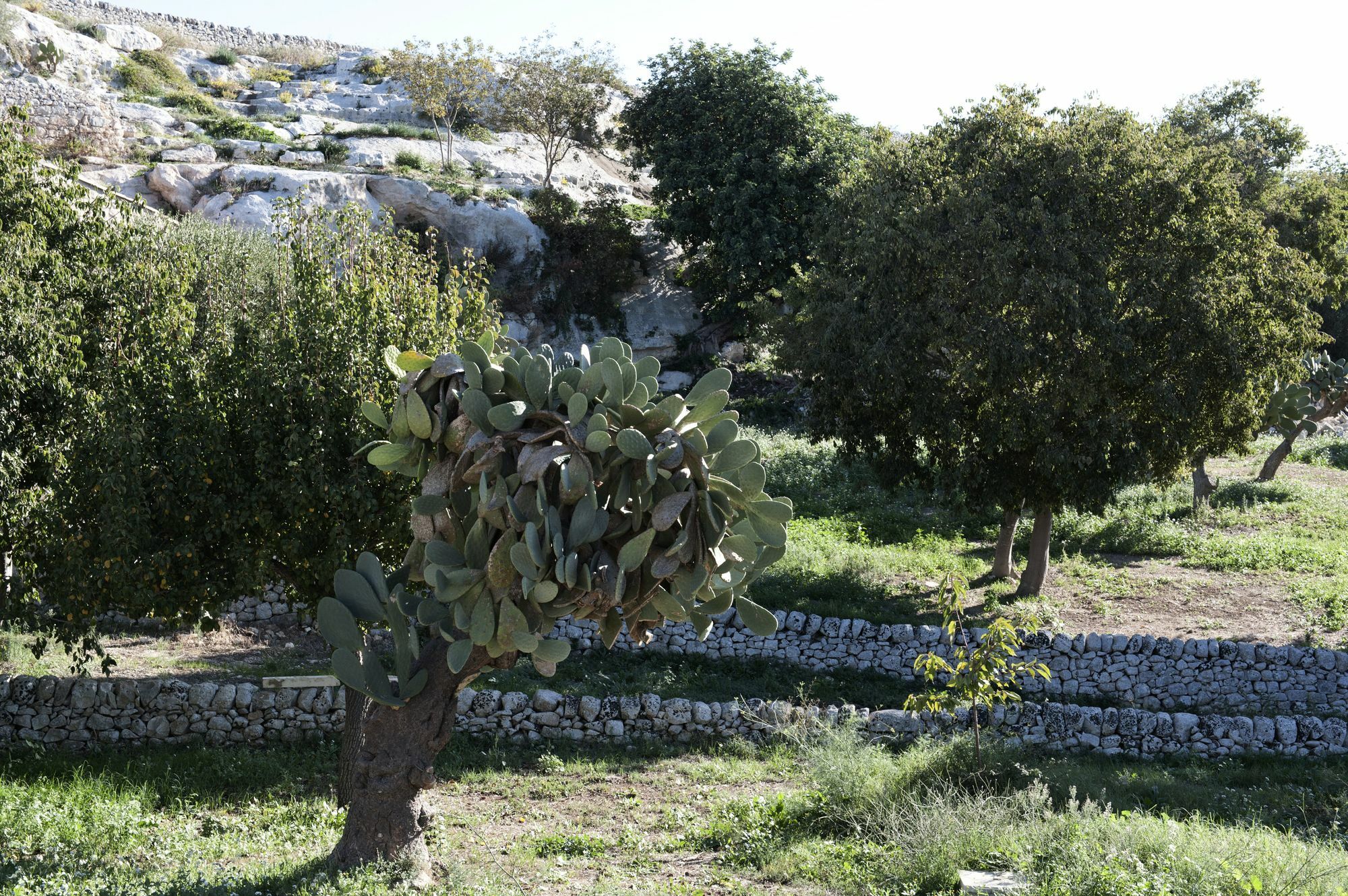 Valle Dell'Acanto Modica Dış mekan fotoğraf