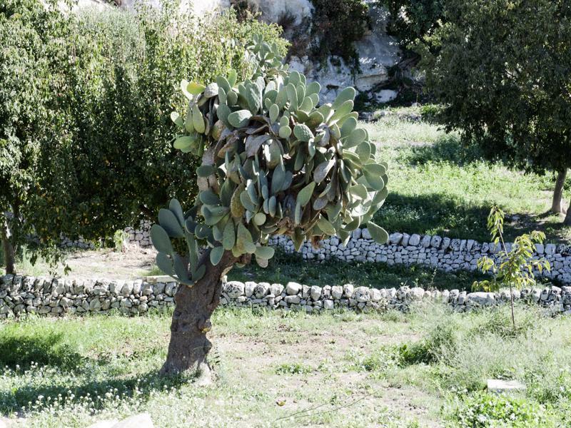 Valle Dell'Acanto Modica Dış mekan fotoğraf